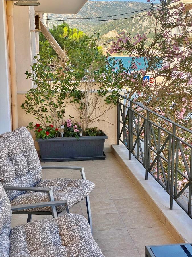 Filippos Apartments أرغوستولي المظهر الخارجي الصورة
